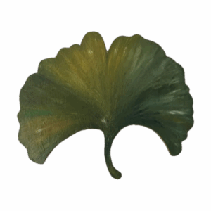 Aleksandra Potysz – Rzyman